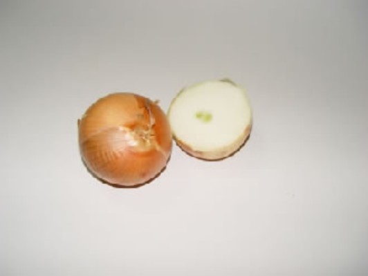 cebolla1.jpg