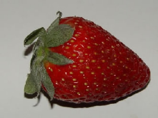 fresa1.jpg