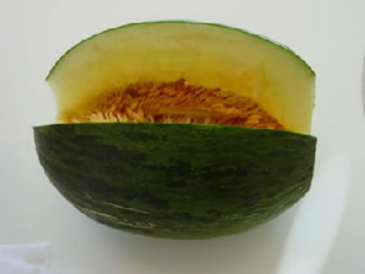 melon1.jpg