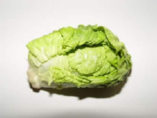 lechuga1.jpg