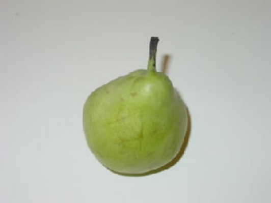 pera1.jpg