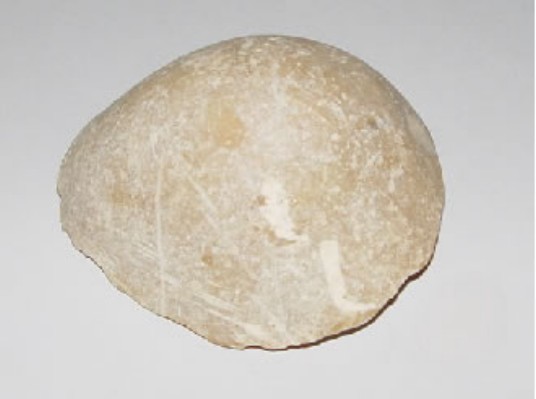 piedra1.jpg
