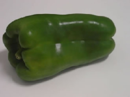 pimiento1.jpg