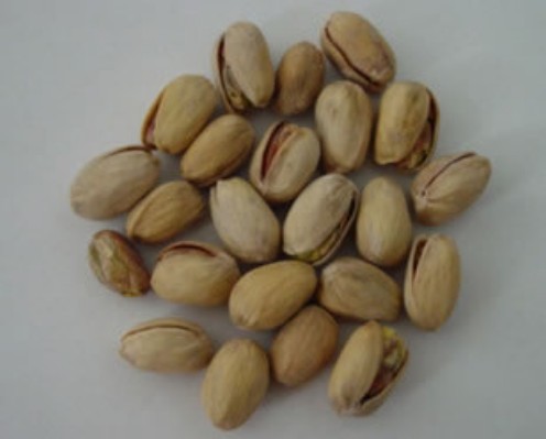 pistachos1.jpg