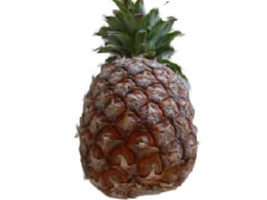 piña1.jpg