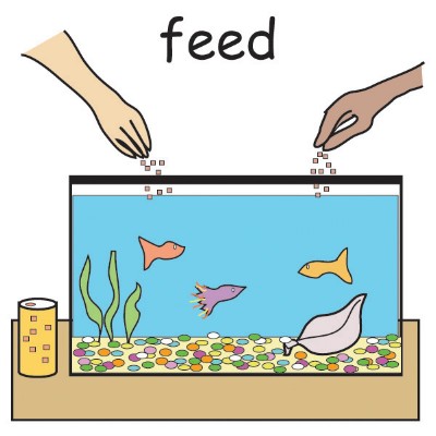 feed1.jpg