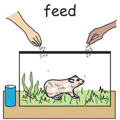 feed2.jpg