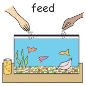 feed1.jpg