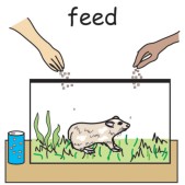 feed2.jpg