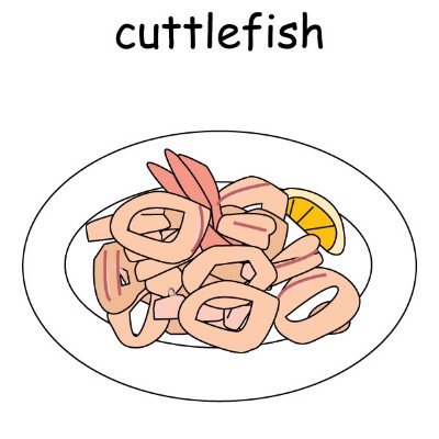 cuttlefish.jpg