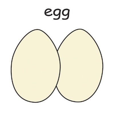 egg2.jpg