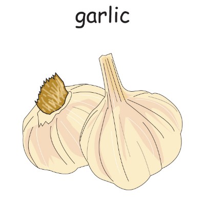 garlic.jpg