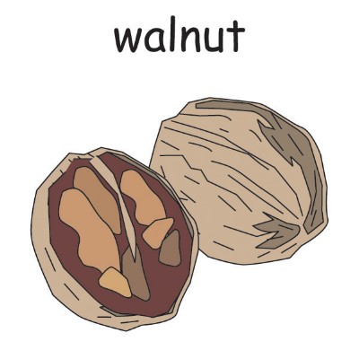walnut.jpg
