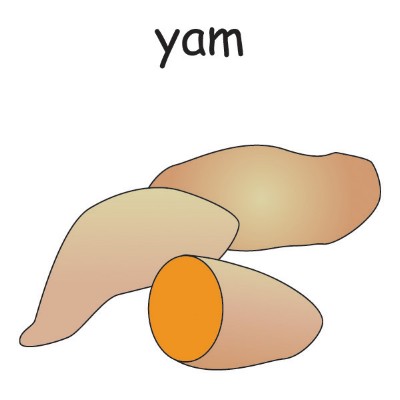 yam.jpg