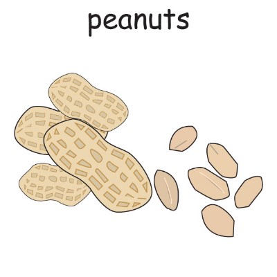 peanuts.jpg