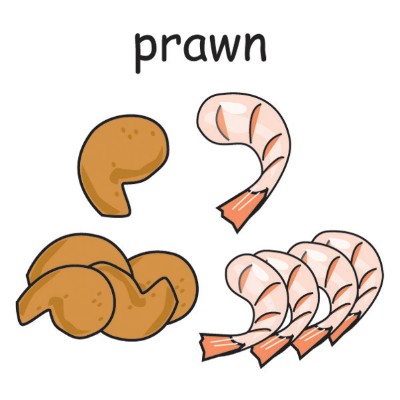 prawn.jpg