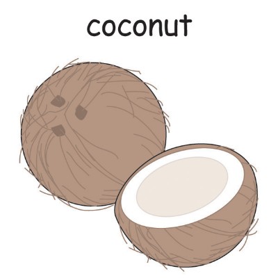 coconut.jpg