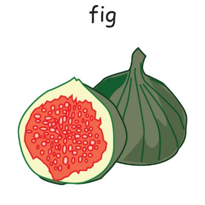 fig.jpg