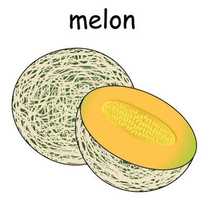 melon1.jpg