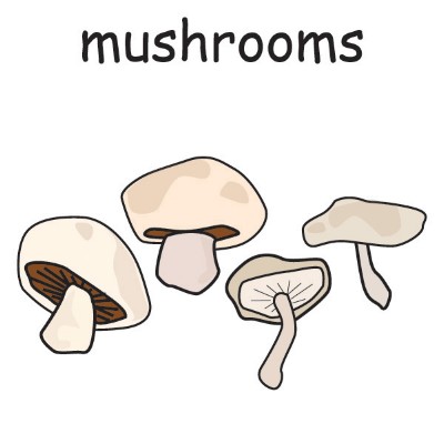 mushrooms.jpg