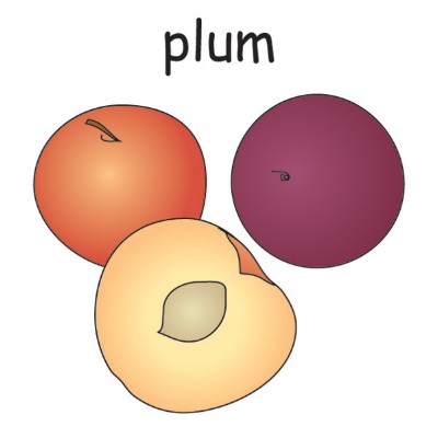 plum.jpg