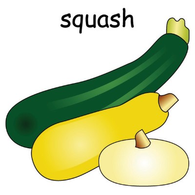squash1.jpg