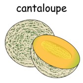 cantaloupe.jpg