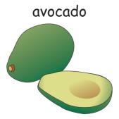 avocado.jpg