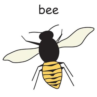 bee.jpg