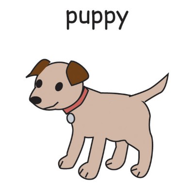 puppy.jpg