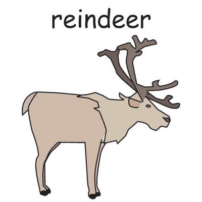 reindeer.jpg