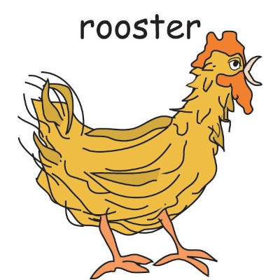 rooster.jpg