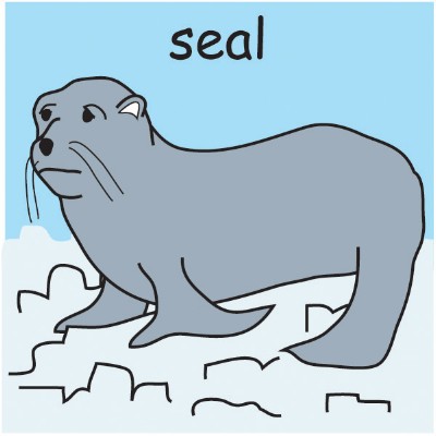 seal.jpg