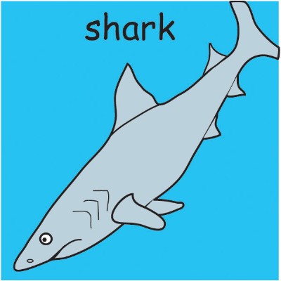 shark.jpg