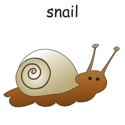 snail.jpg