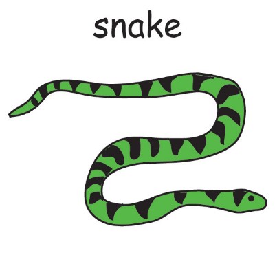 snake.jpg