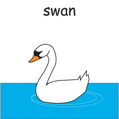 swan.jpg