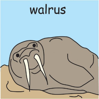 walrus.jpg