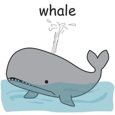 whale.jpg