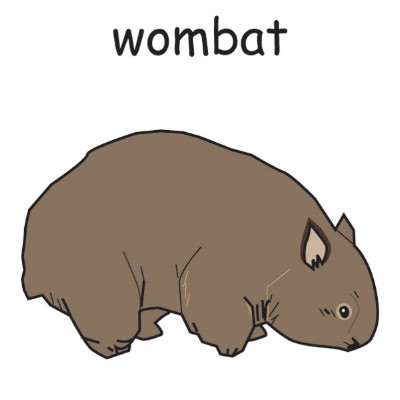 wombat.jpg