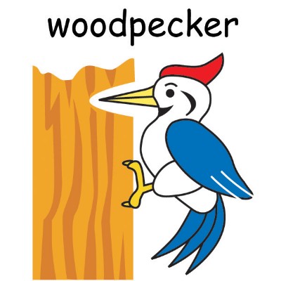 woodpecker.jpg
