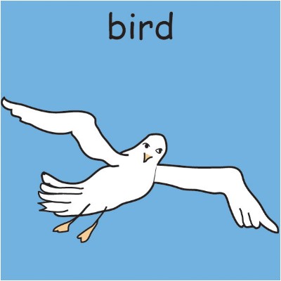 bird.jpg