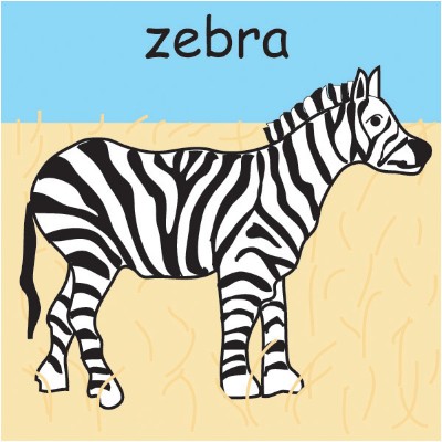 zebra.jpg
