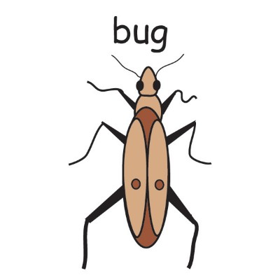 bug.jpg