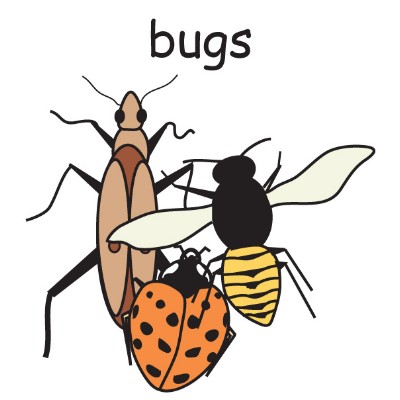 bugs.jpg