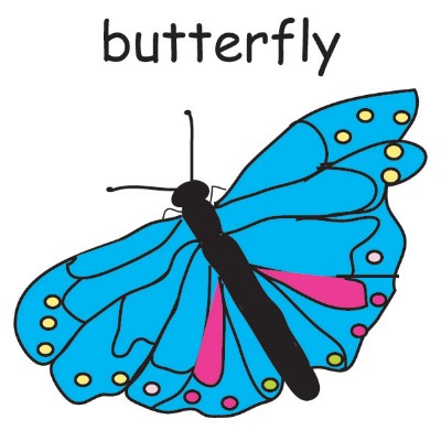butterfly.jpg