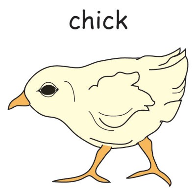 chick.jpg