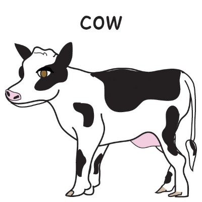 cow.jpg