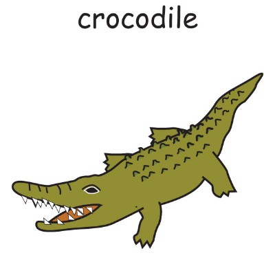 crocodile.jpg