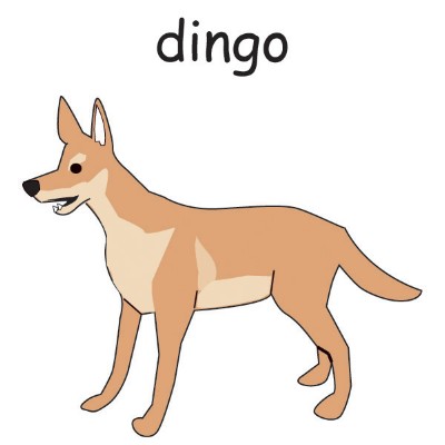 dingo.jpg